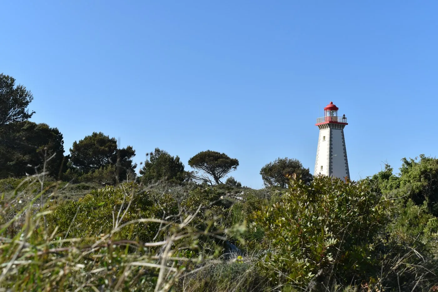 Le phare du cap Leucate